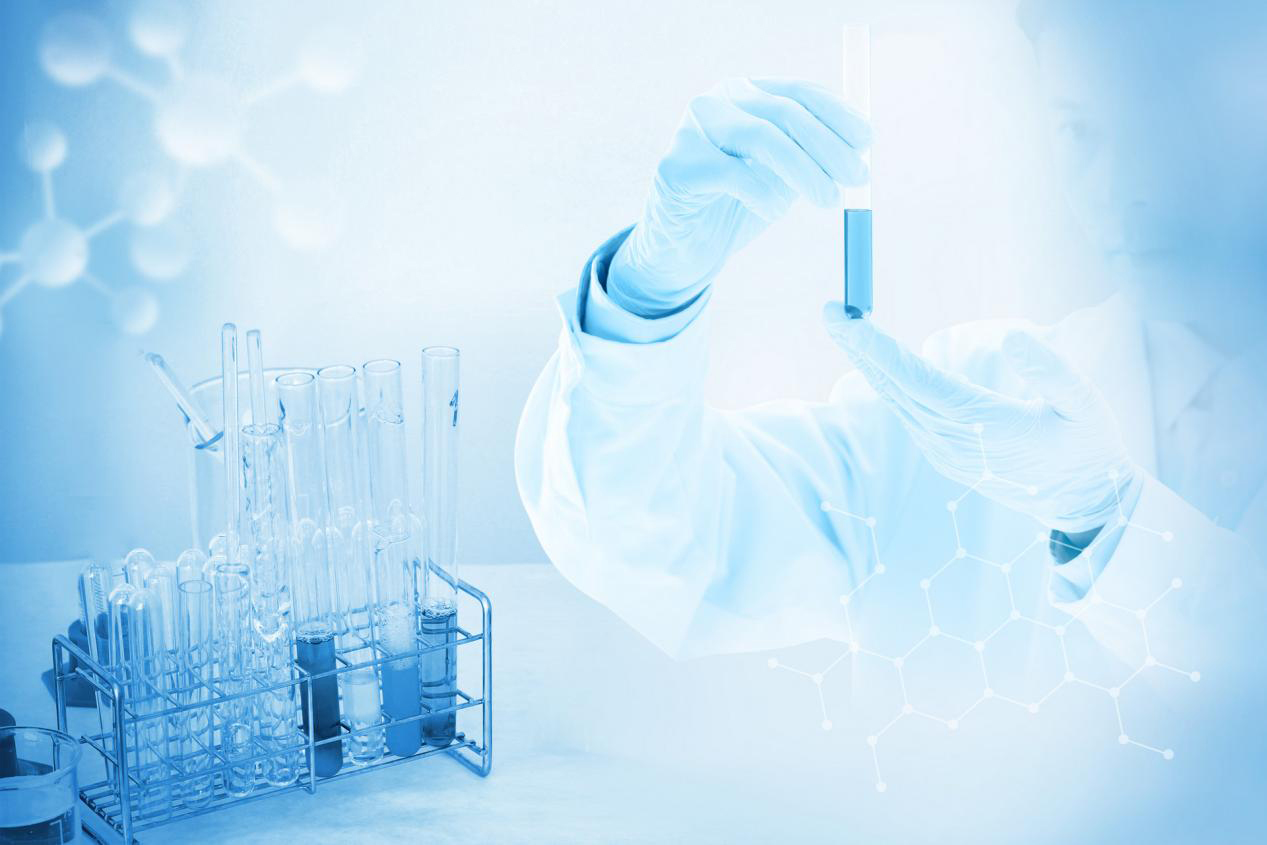 ylsb